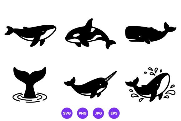 Whale and Narwhal Marine Animal Graphics & Illustrations